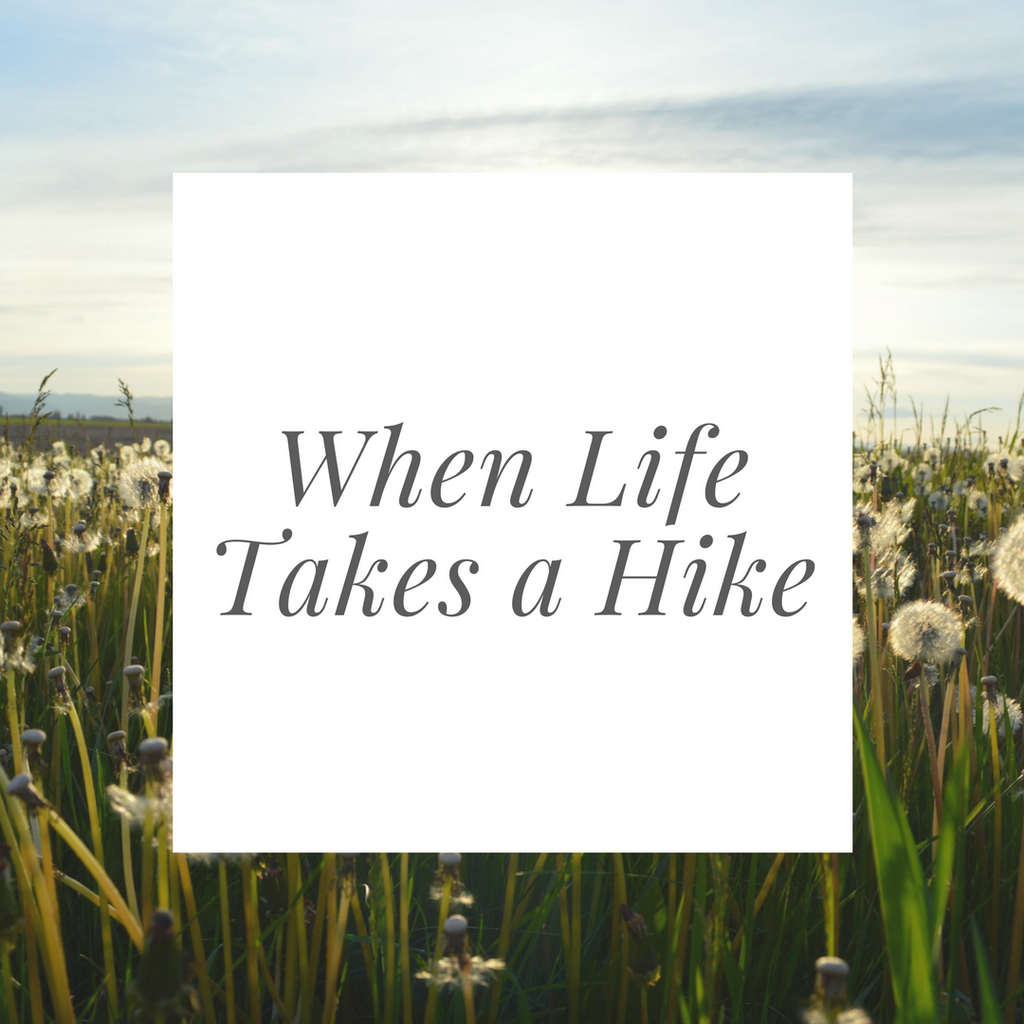 When Life Takes a Hike